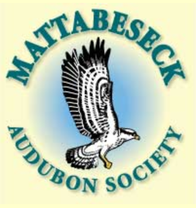 Screenshot_2020-07-31 Mattabeseck Audubon Society Welcome .png