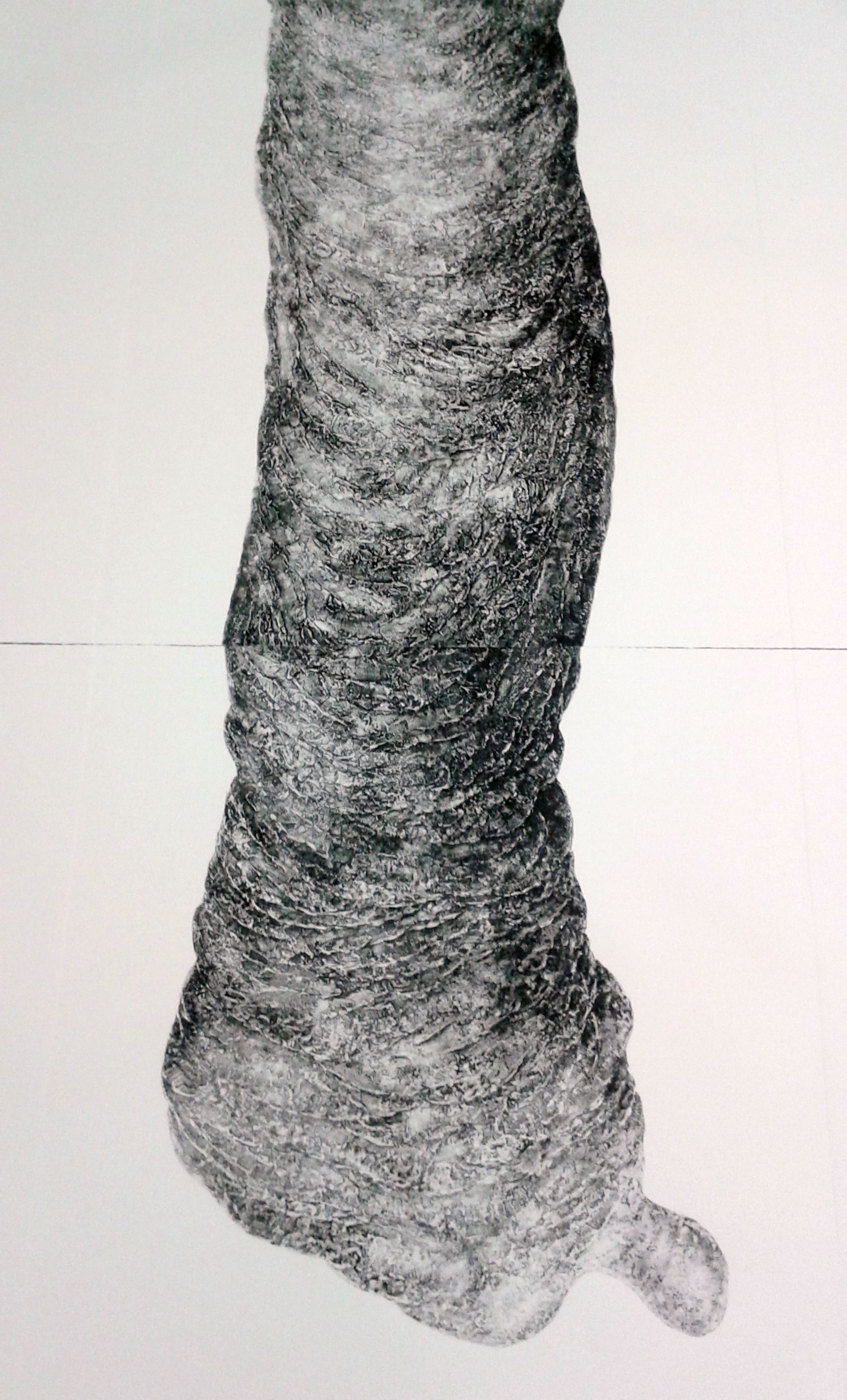    Mater,  (Detail) 60x118cm, collagraph print, 2017.  