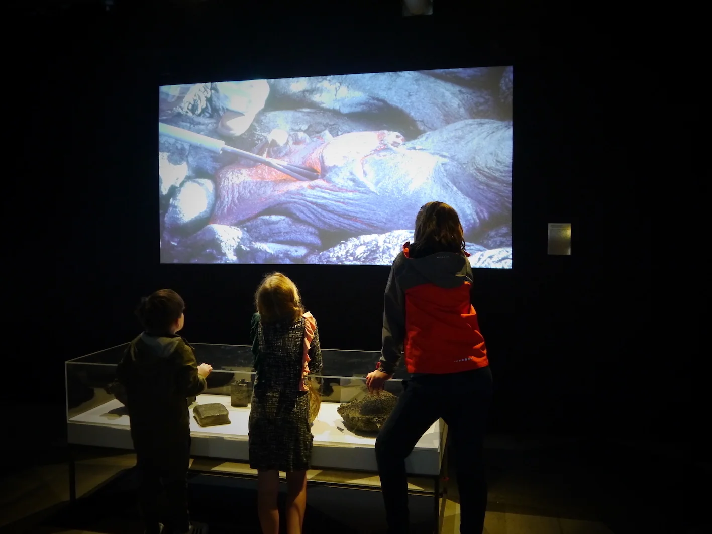 ‘Souvenirs of the Creation’ installation at the Science Gallery, Trinity College Dublin, as part of Life at the Edges exhibition, 2018.
