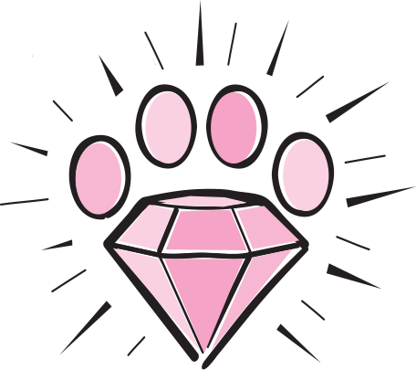 Diamond in the Ruff Pet Spa