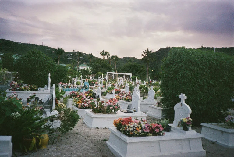white graves.jpg