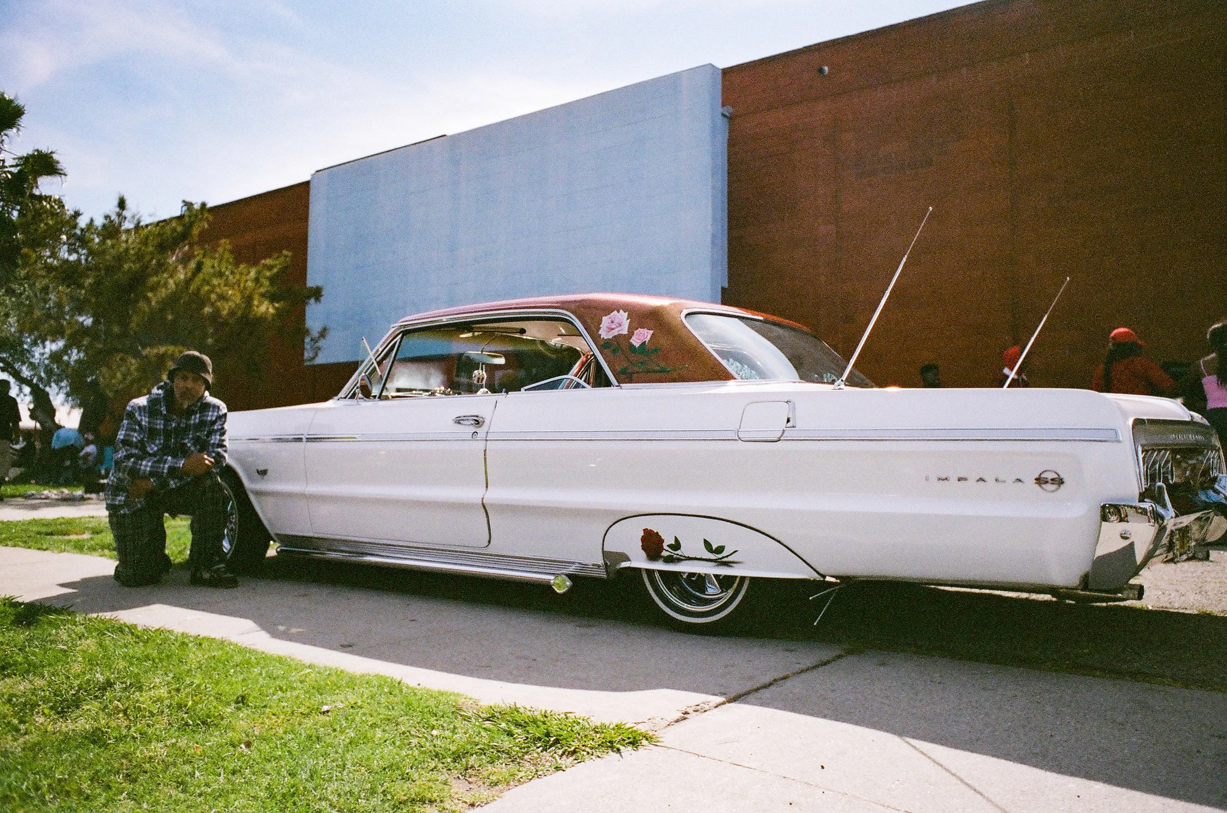 Rose Impala.jpg