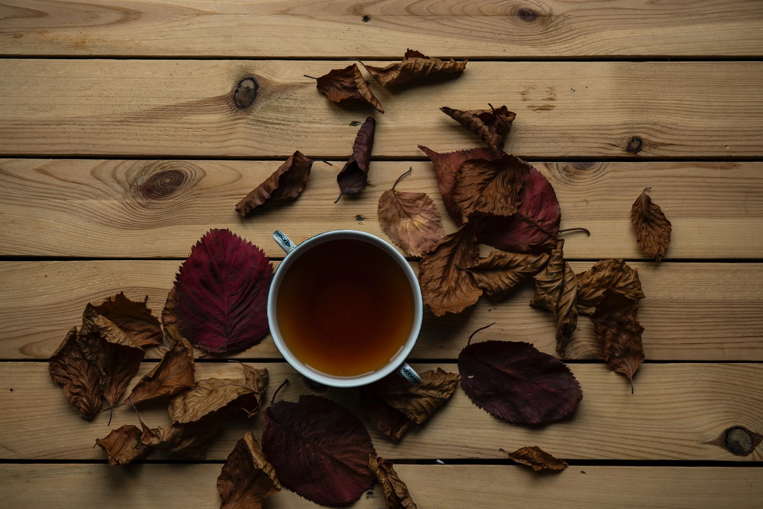 Black Tea Fall Autumn Leaves Scorpio.jpg