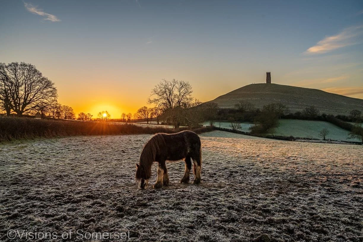 Visions of Somerset pony Tor snow.jpg