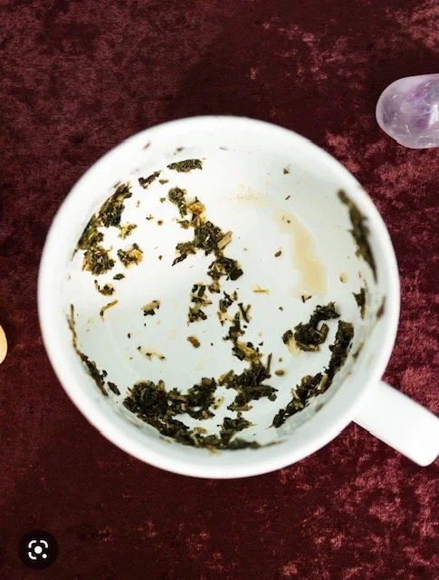 tea leaf reading burgundy velvet.jpg