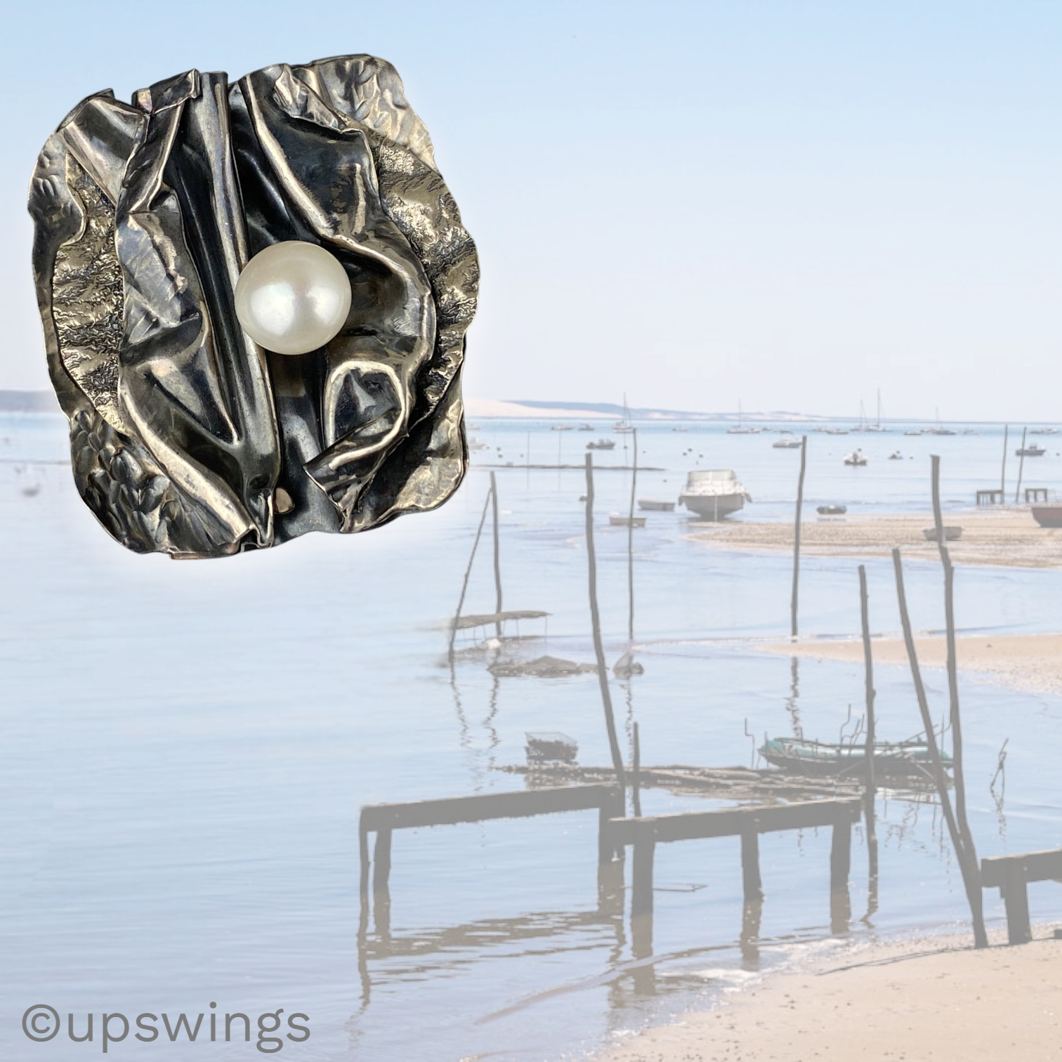 Celestial_Oyster-4004-plus (1).png
