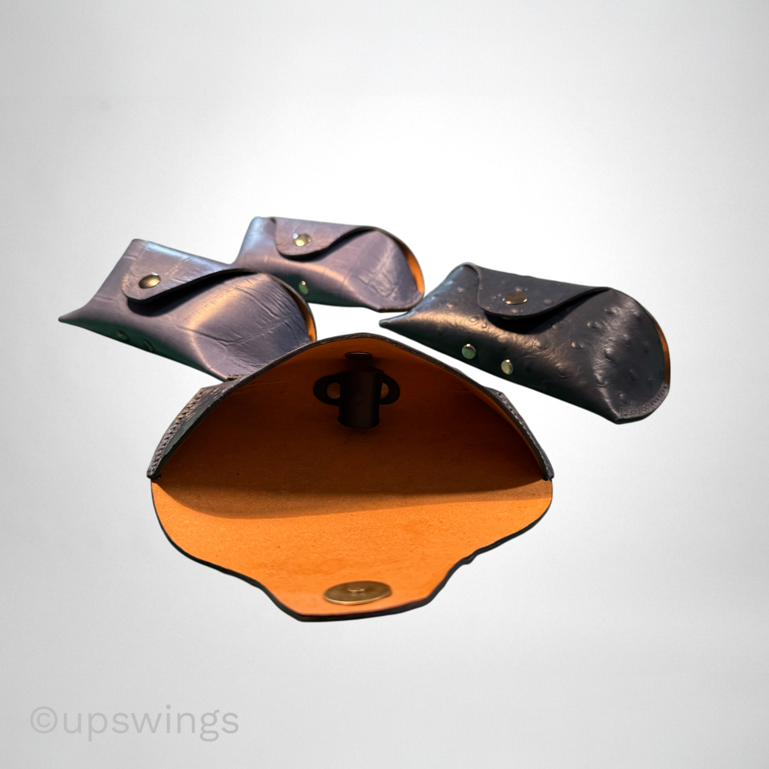 Upswings-9015-glassescases-open.png