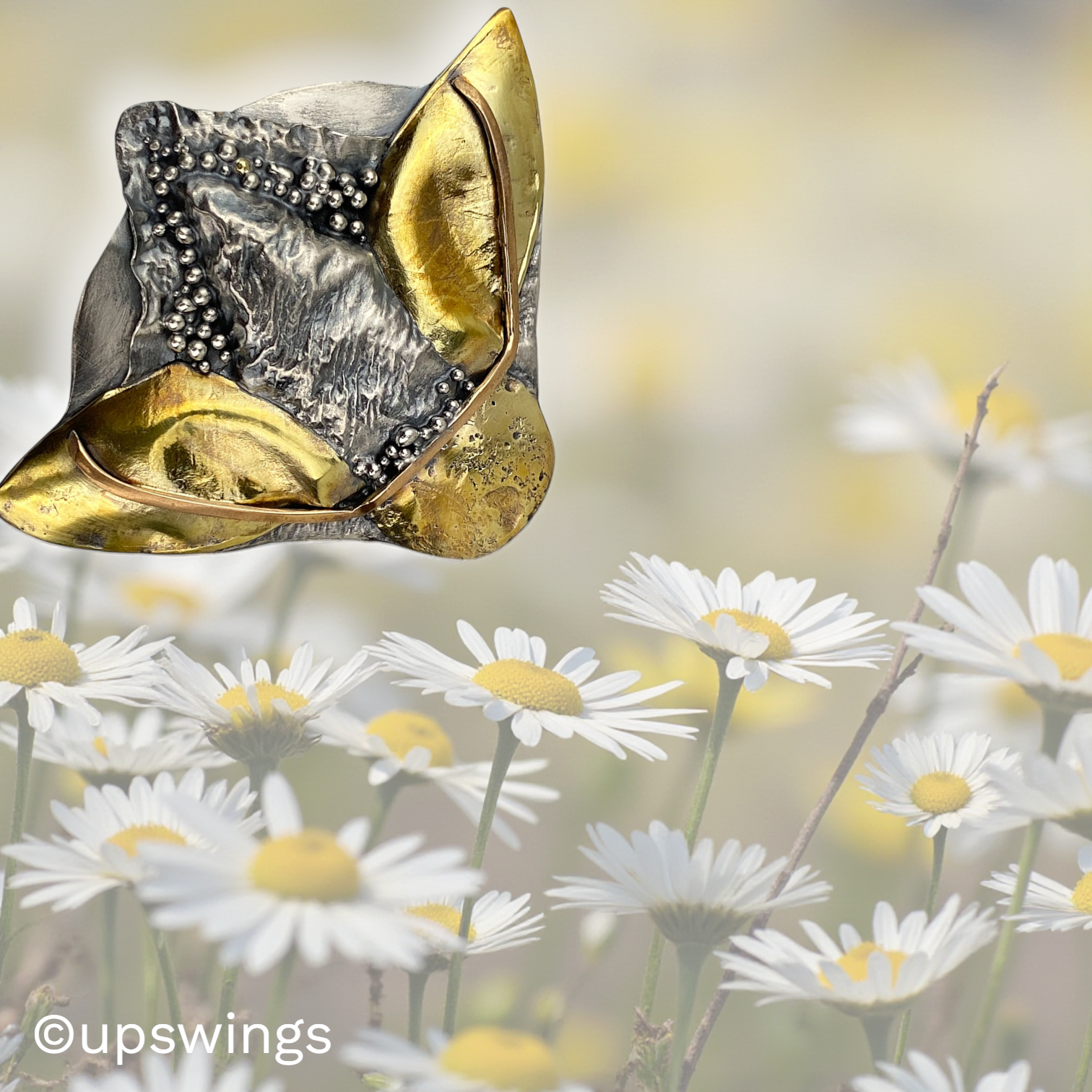 Upswings-4006-InsectY-plus.png