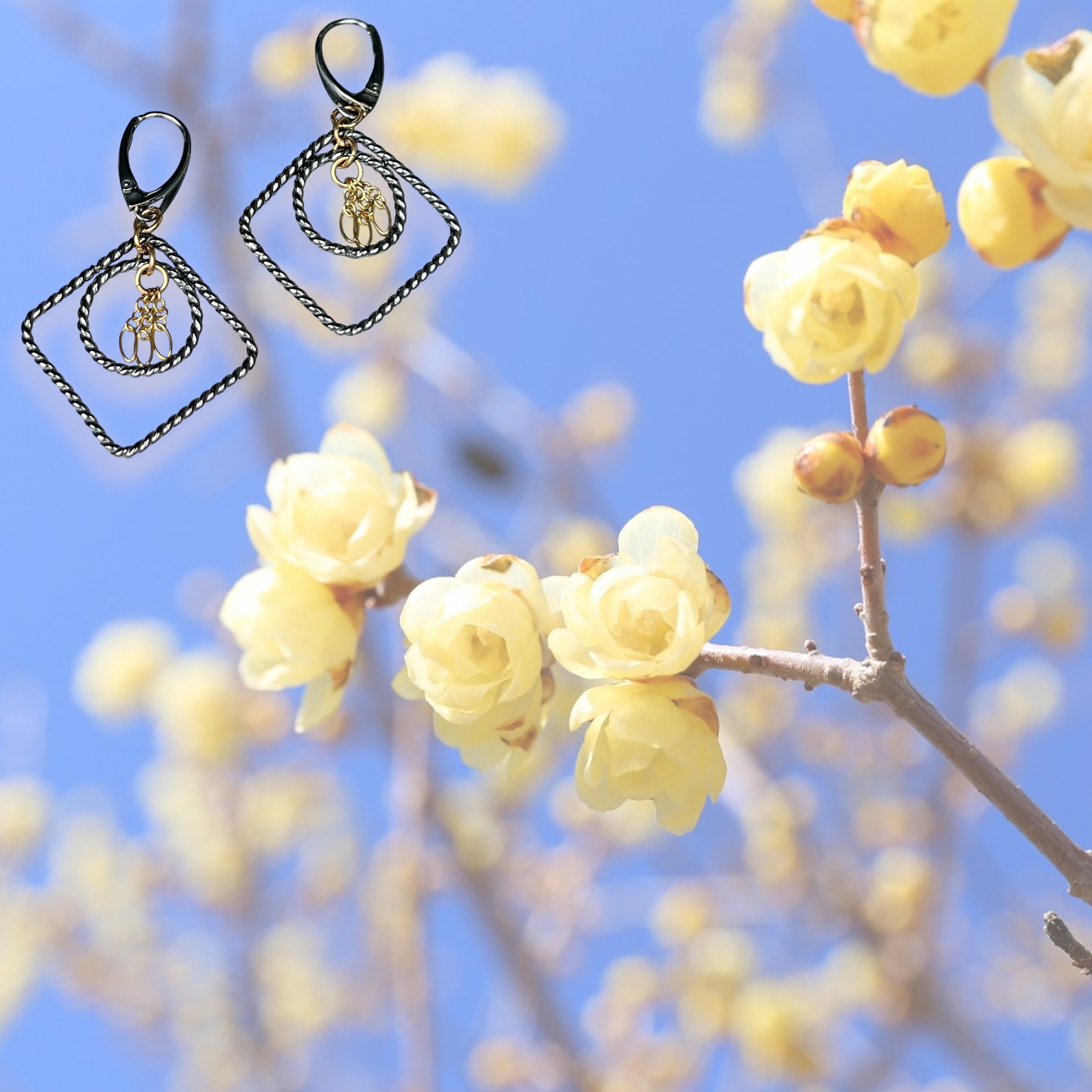 Square and Round Earrings