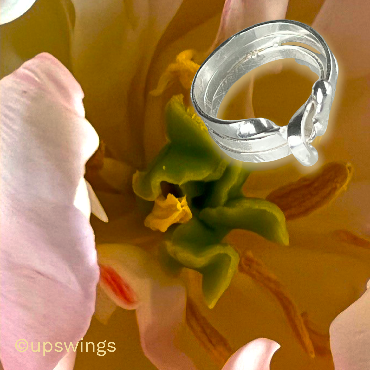 Wrap-Ring-3wraps-clear-no2-pluss.png