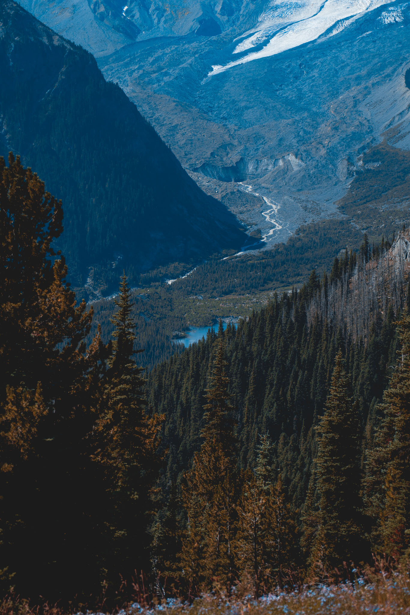 Mt Mount Rainier Alpine Lake.jpg