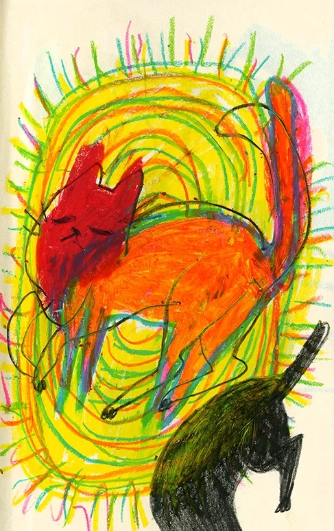 sb cat rug s.jpg