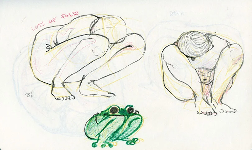 sb frog ledie s.jpg