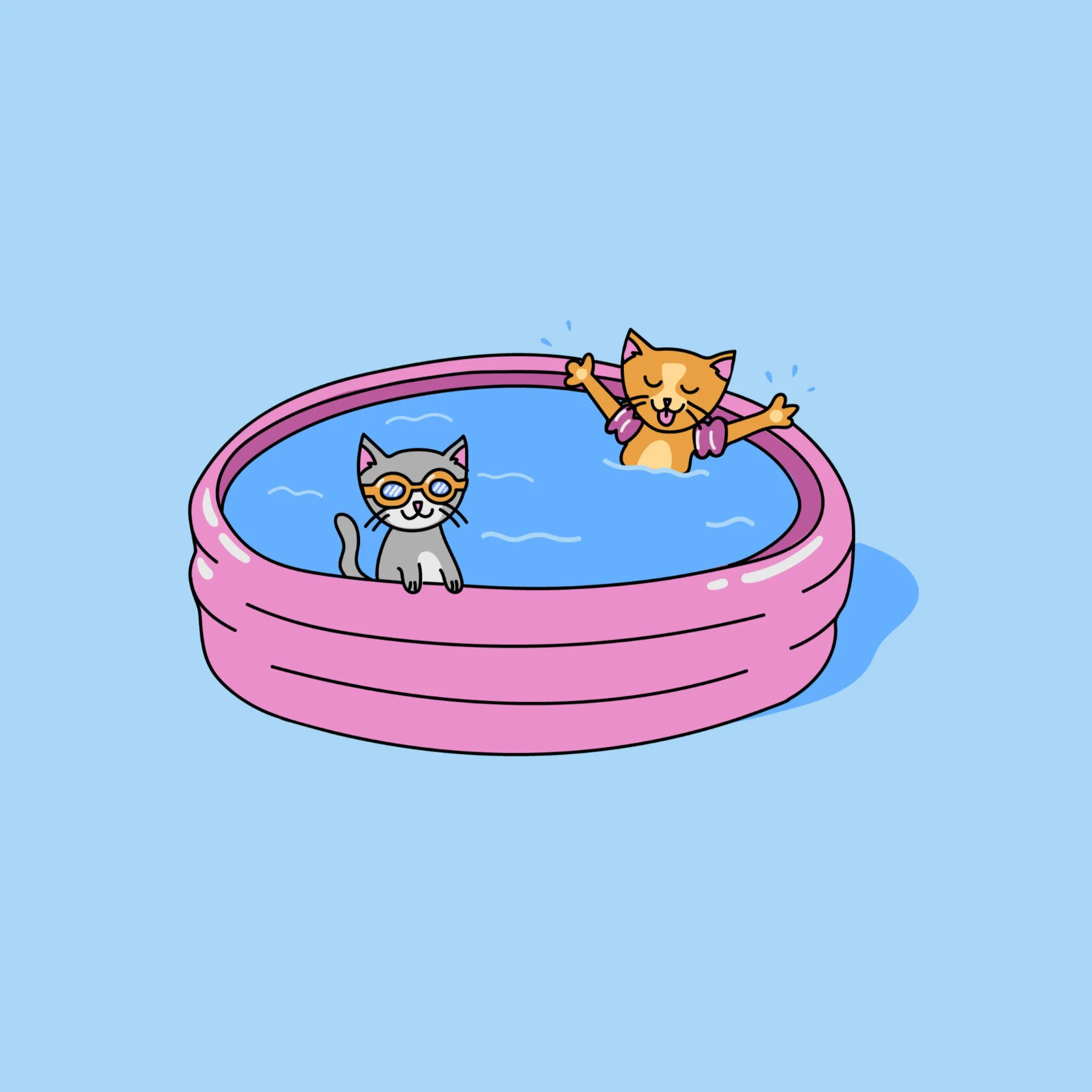 kitty pool