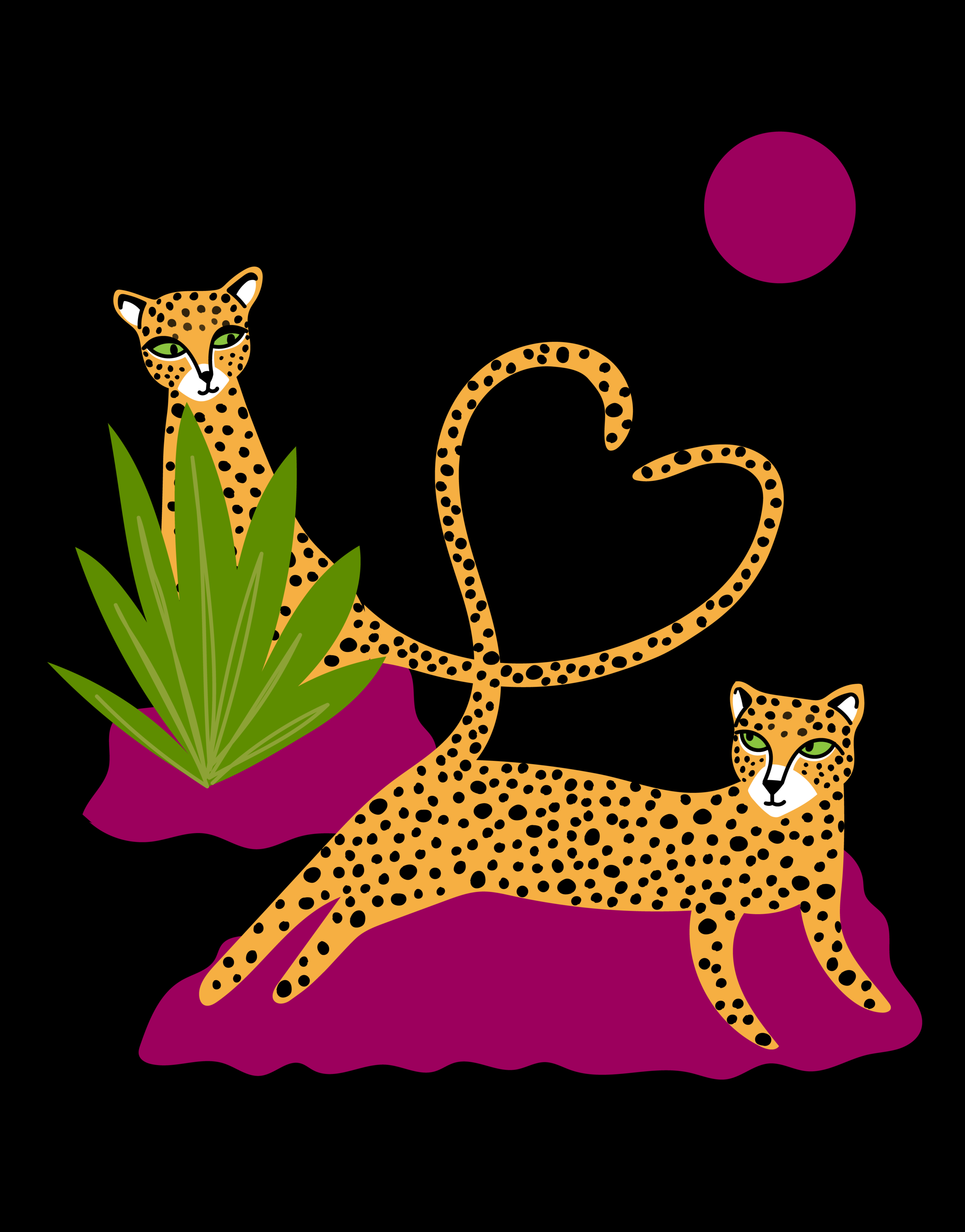 cheetahs yellow and pink.png