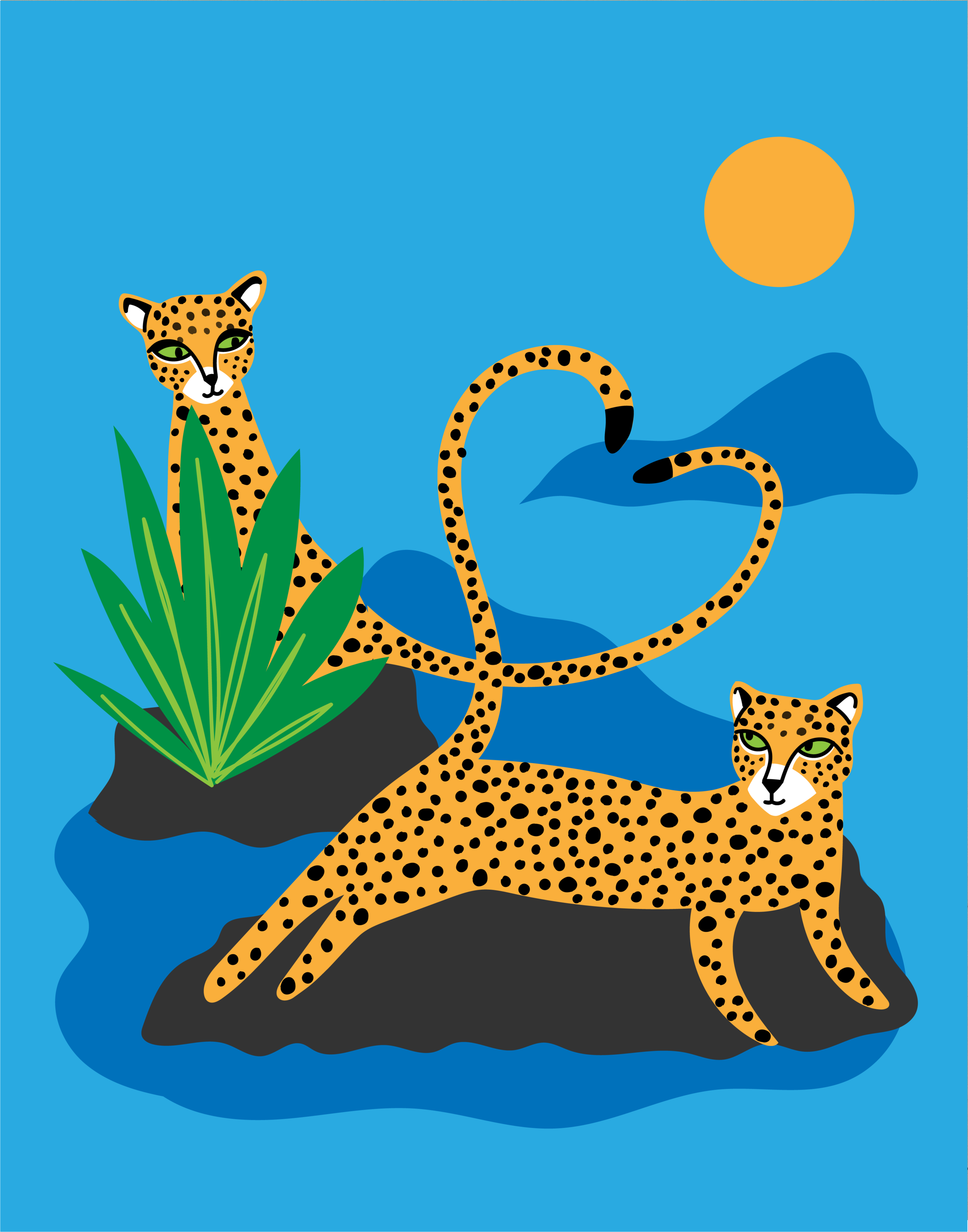 cheetahs 4.png