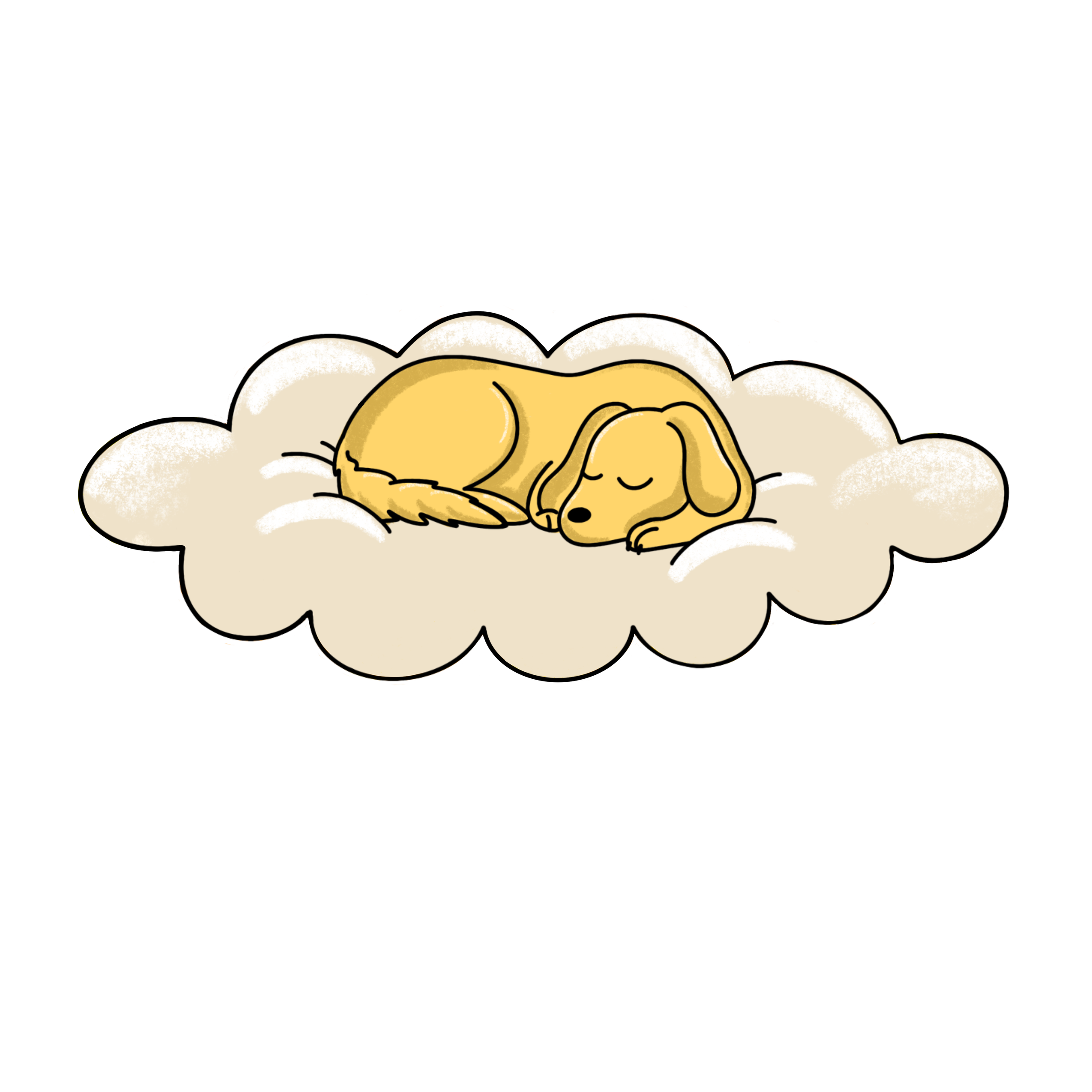 IMG_4879.PNG