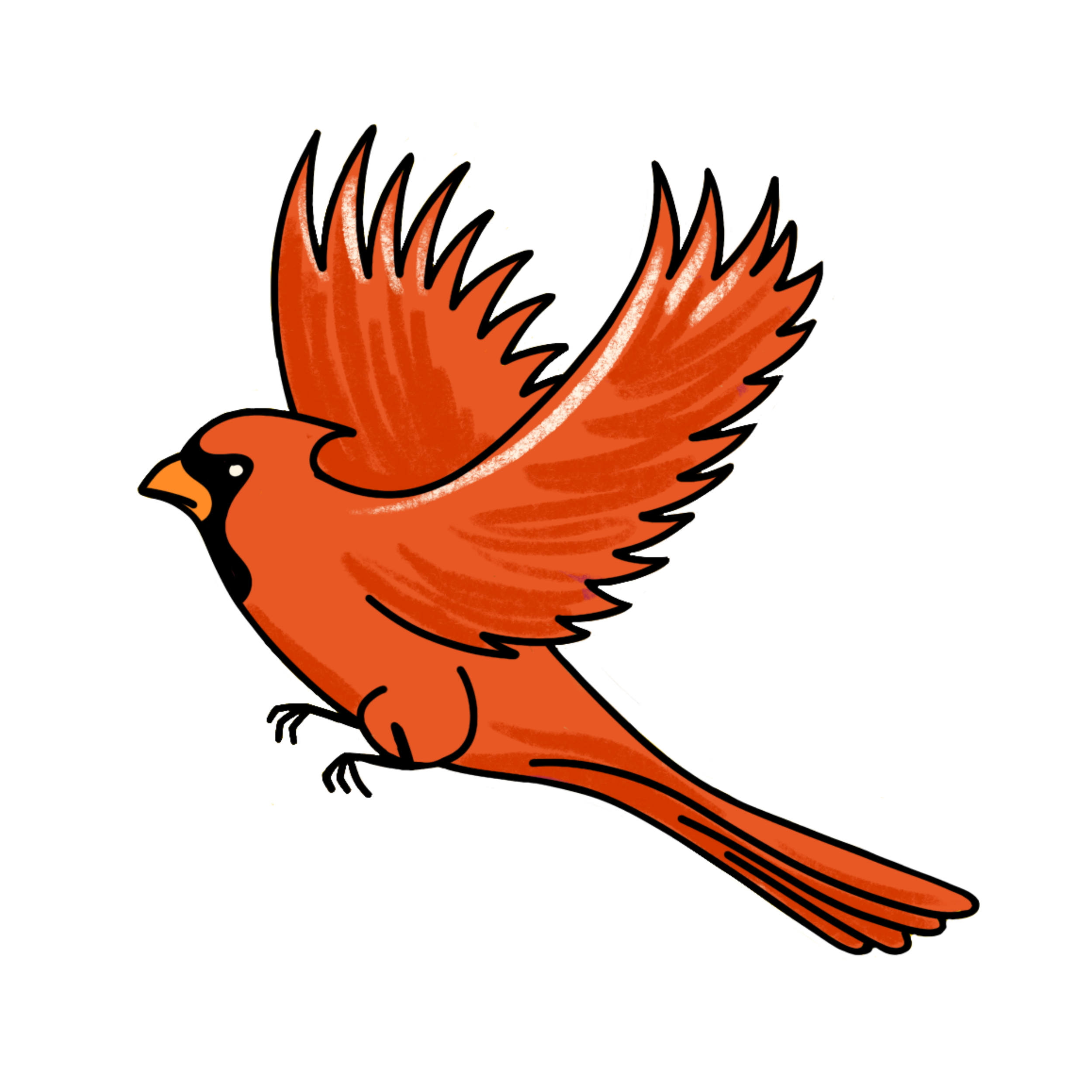 IMG_4881.PNG