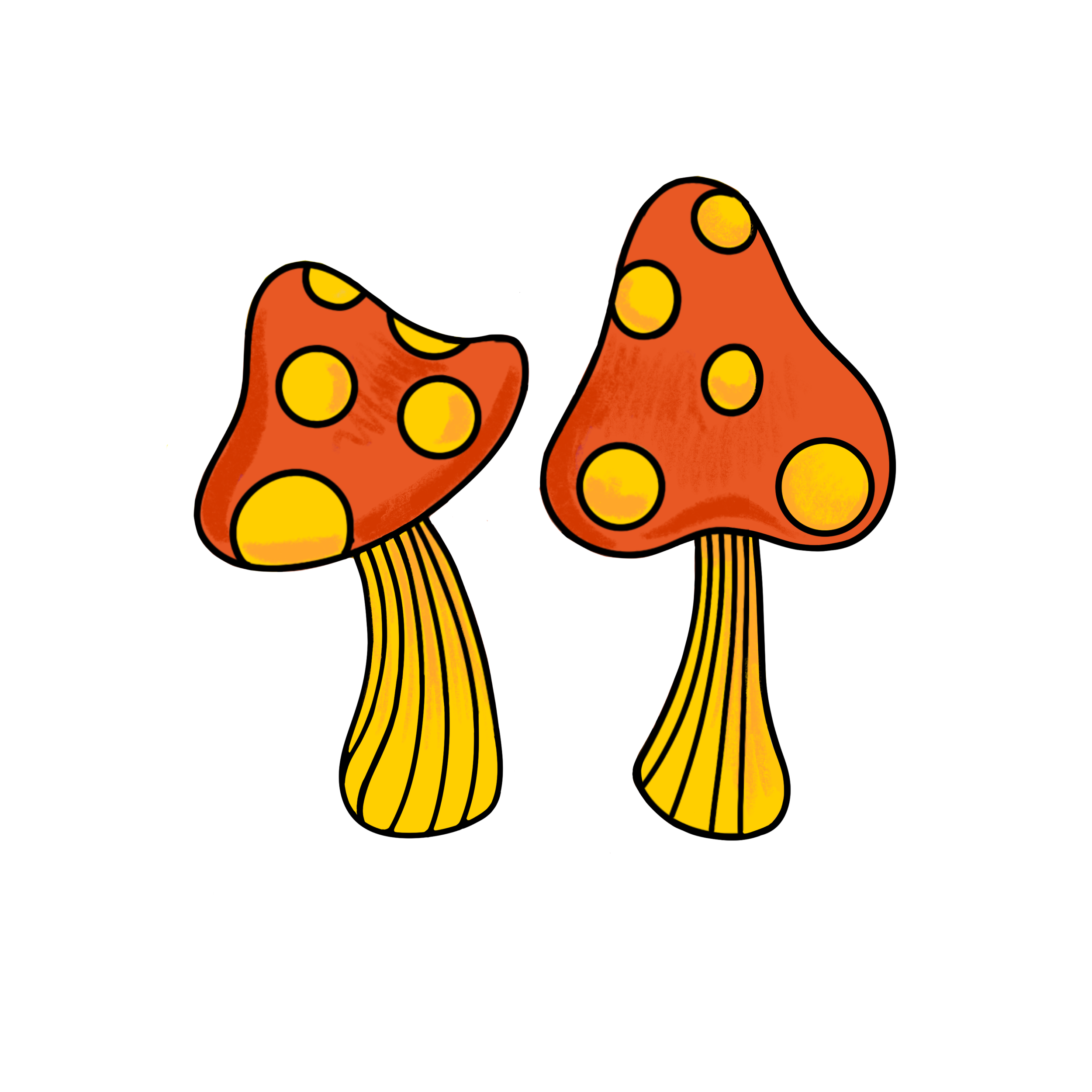 IMG_4884.PNG