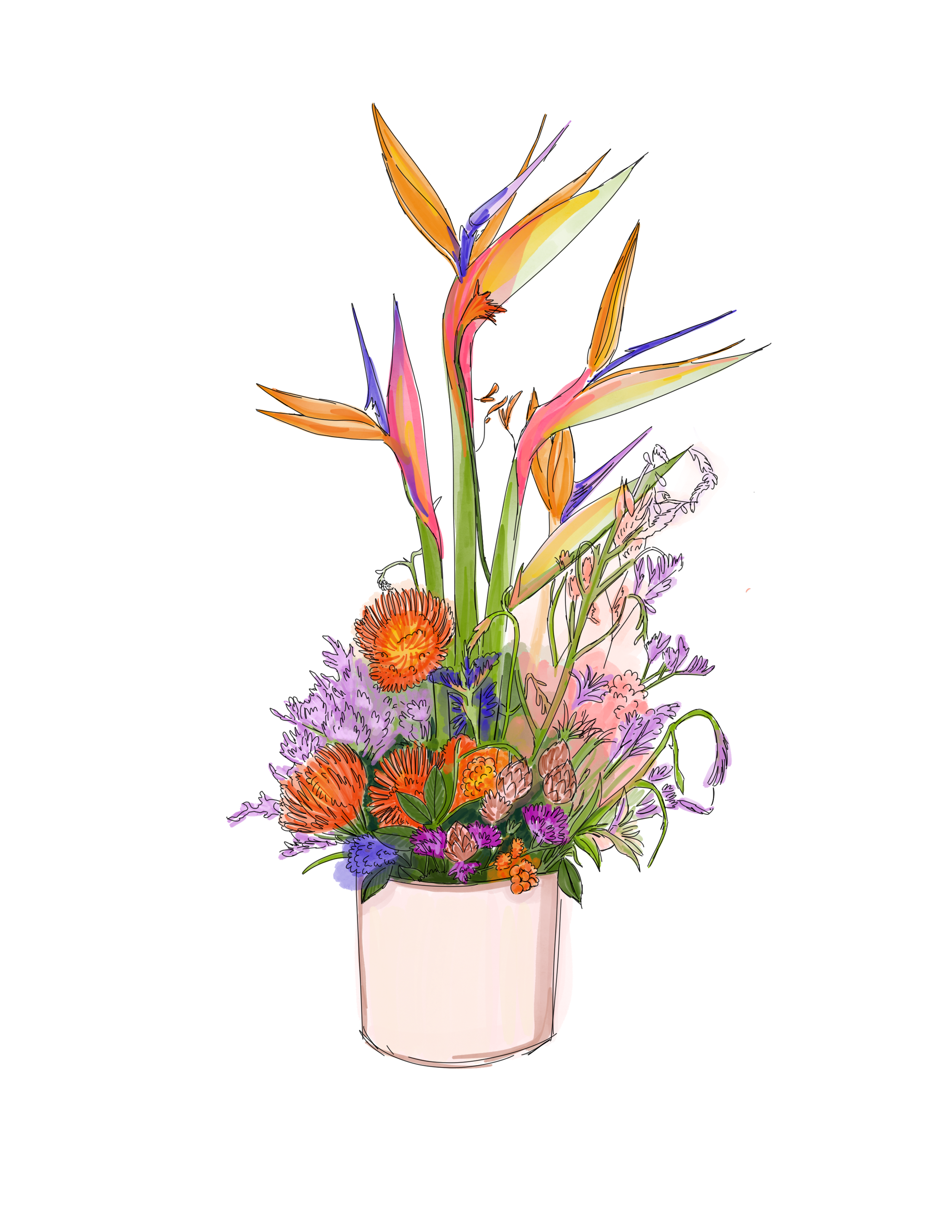 IMG_5484.PNG