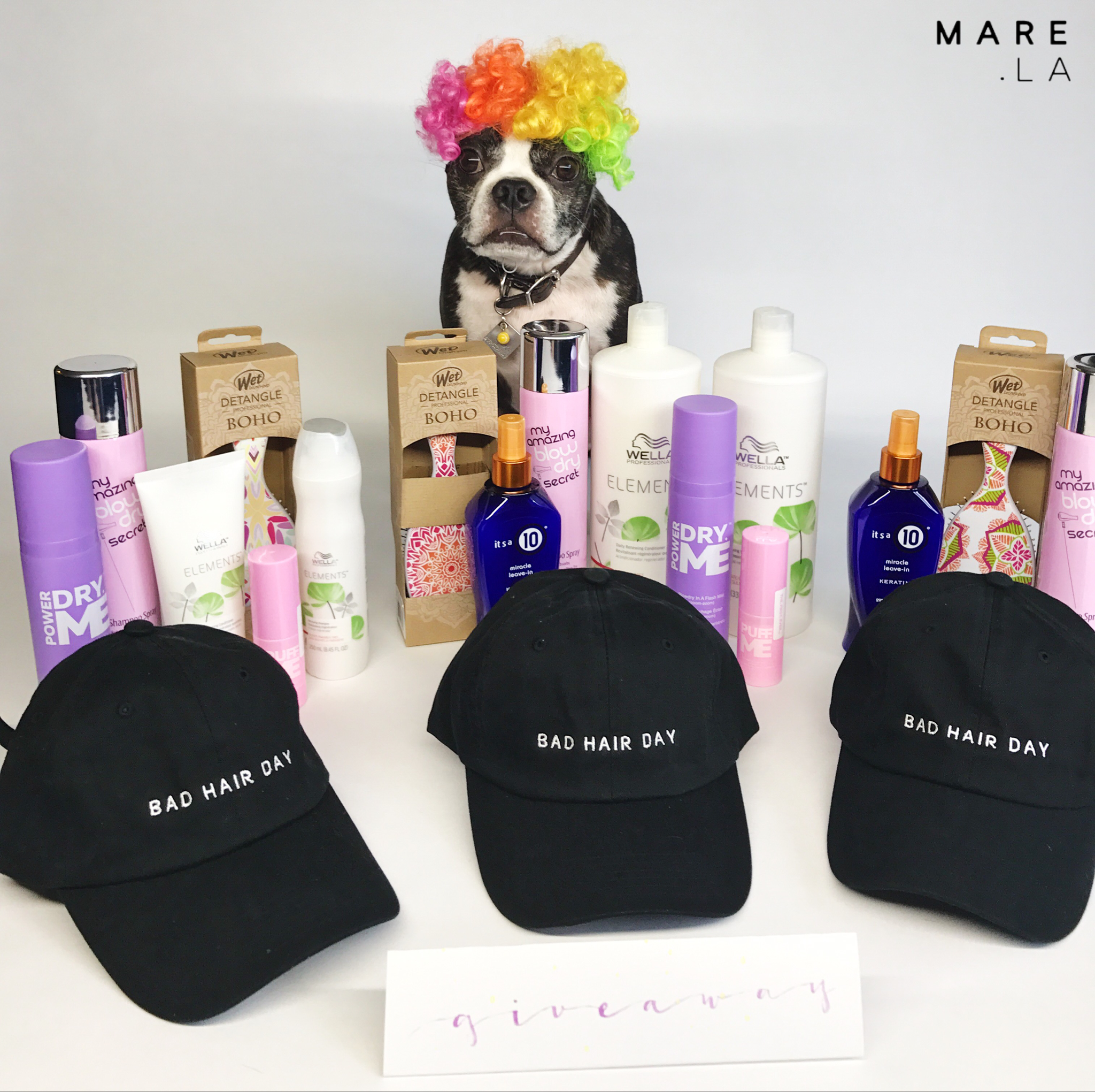 Welcome to the world of MARE.LA