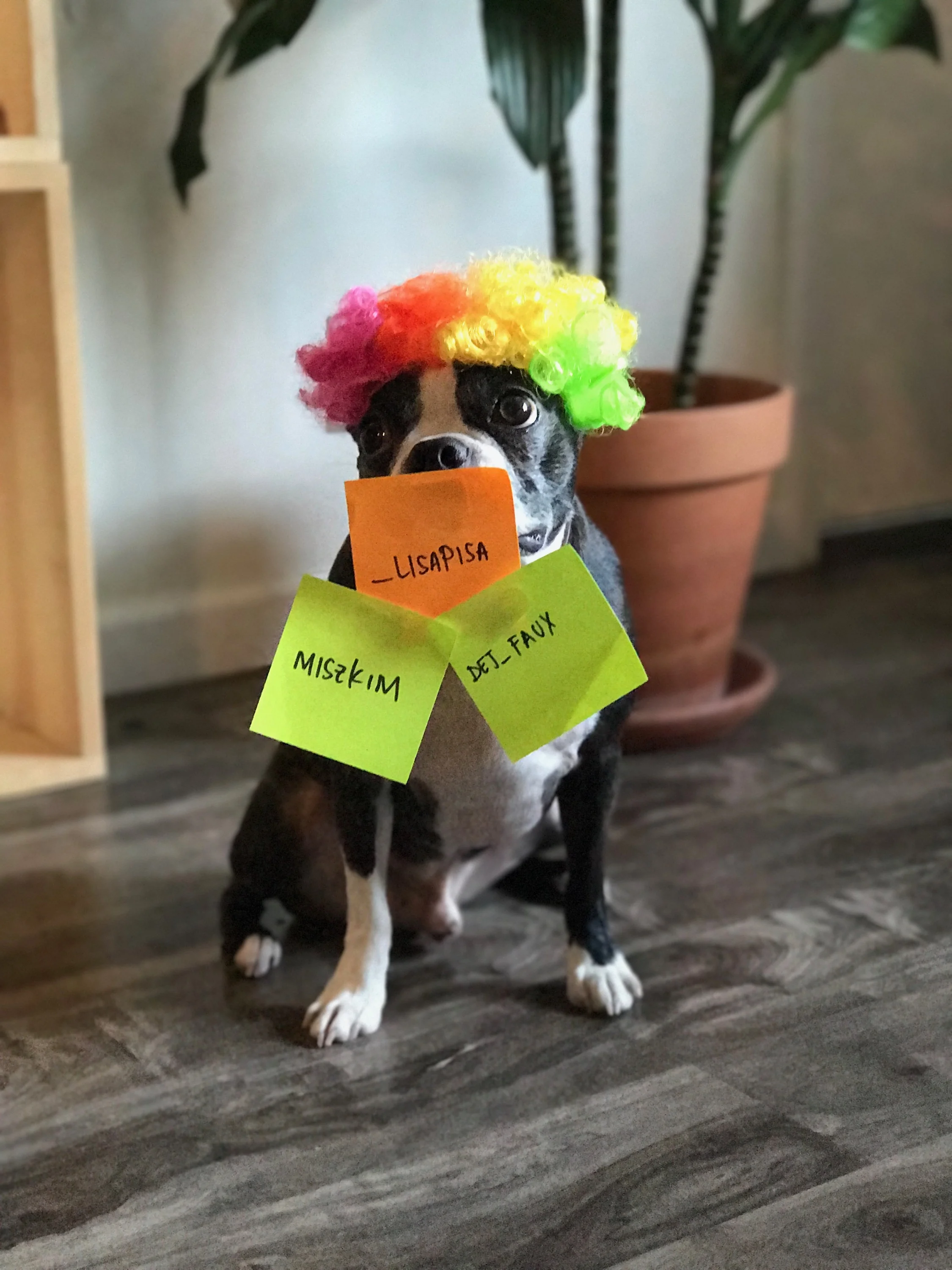 AND THE WINNERS ARE......