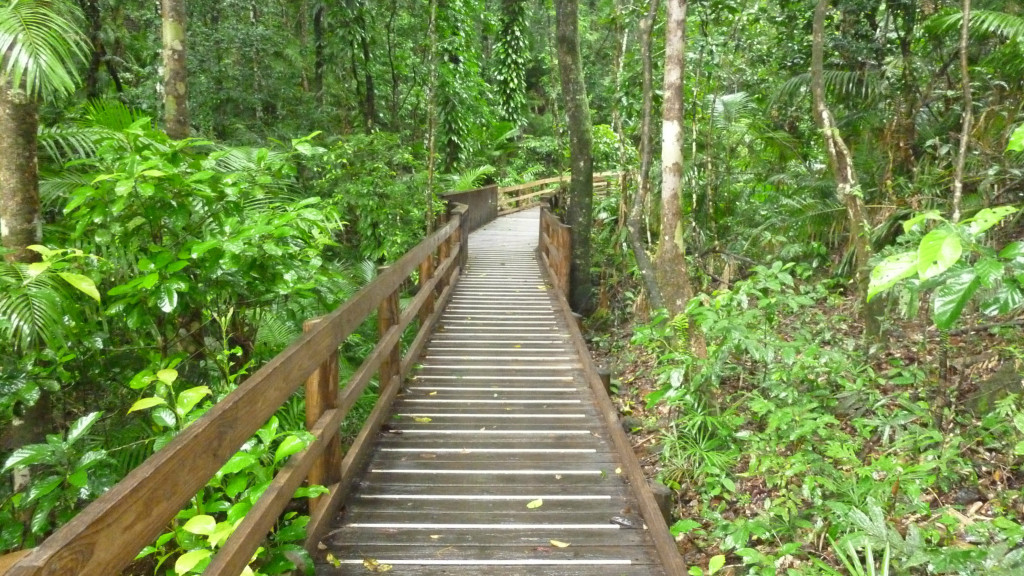 Jindalba-Boardwalk-1024x576.jpg