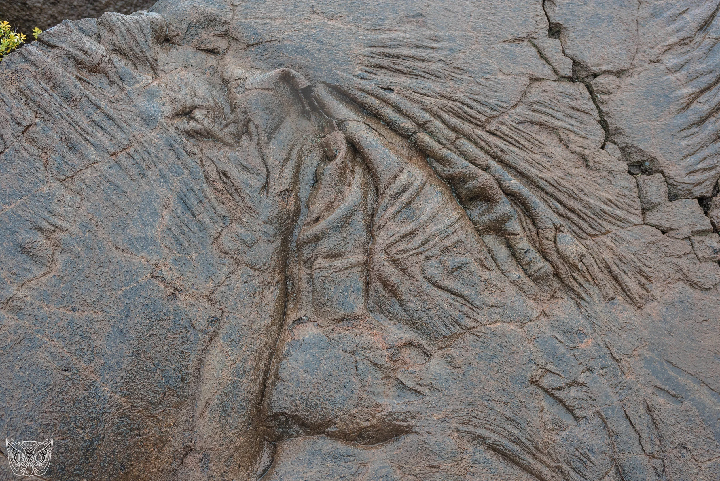 DSC_1573.jpg