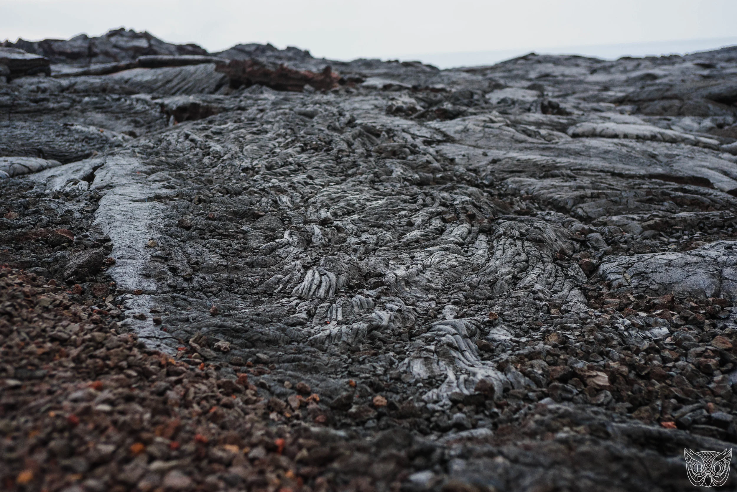DSC_2436.jpg