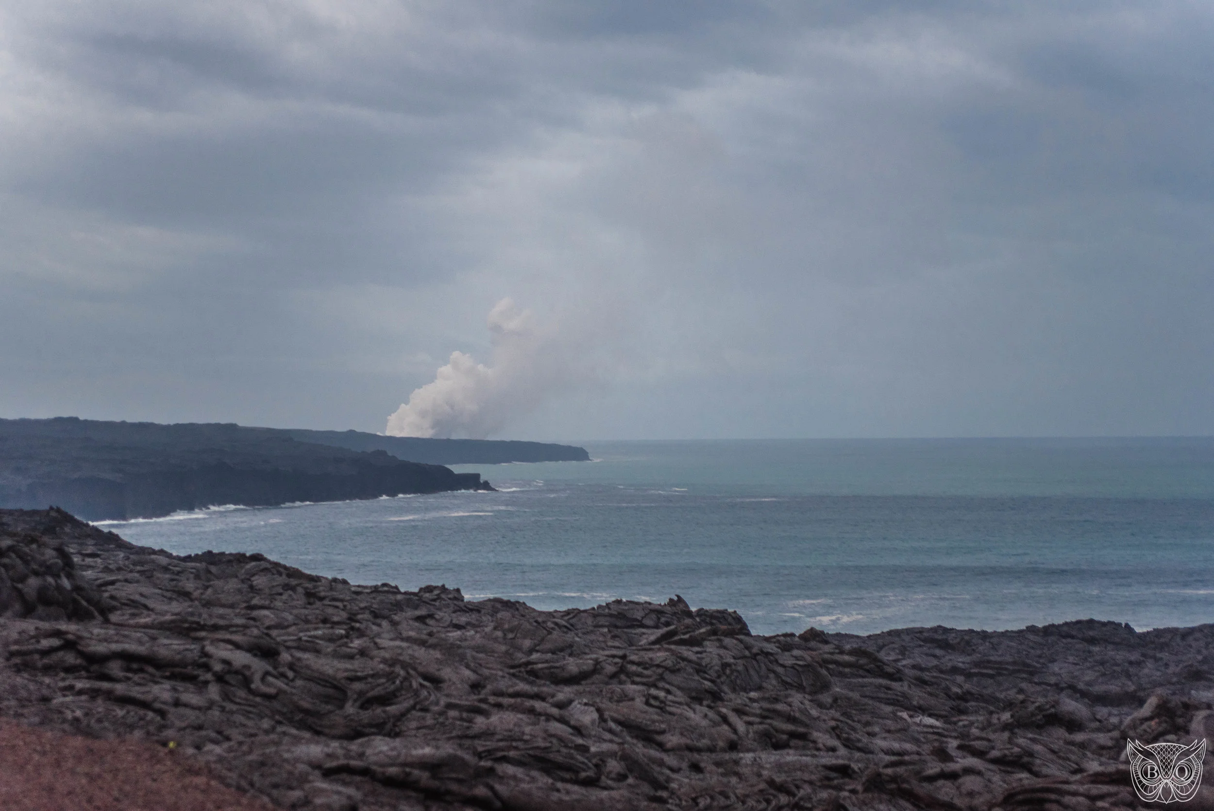 DSC_2445.jpg