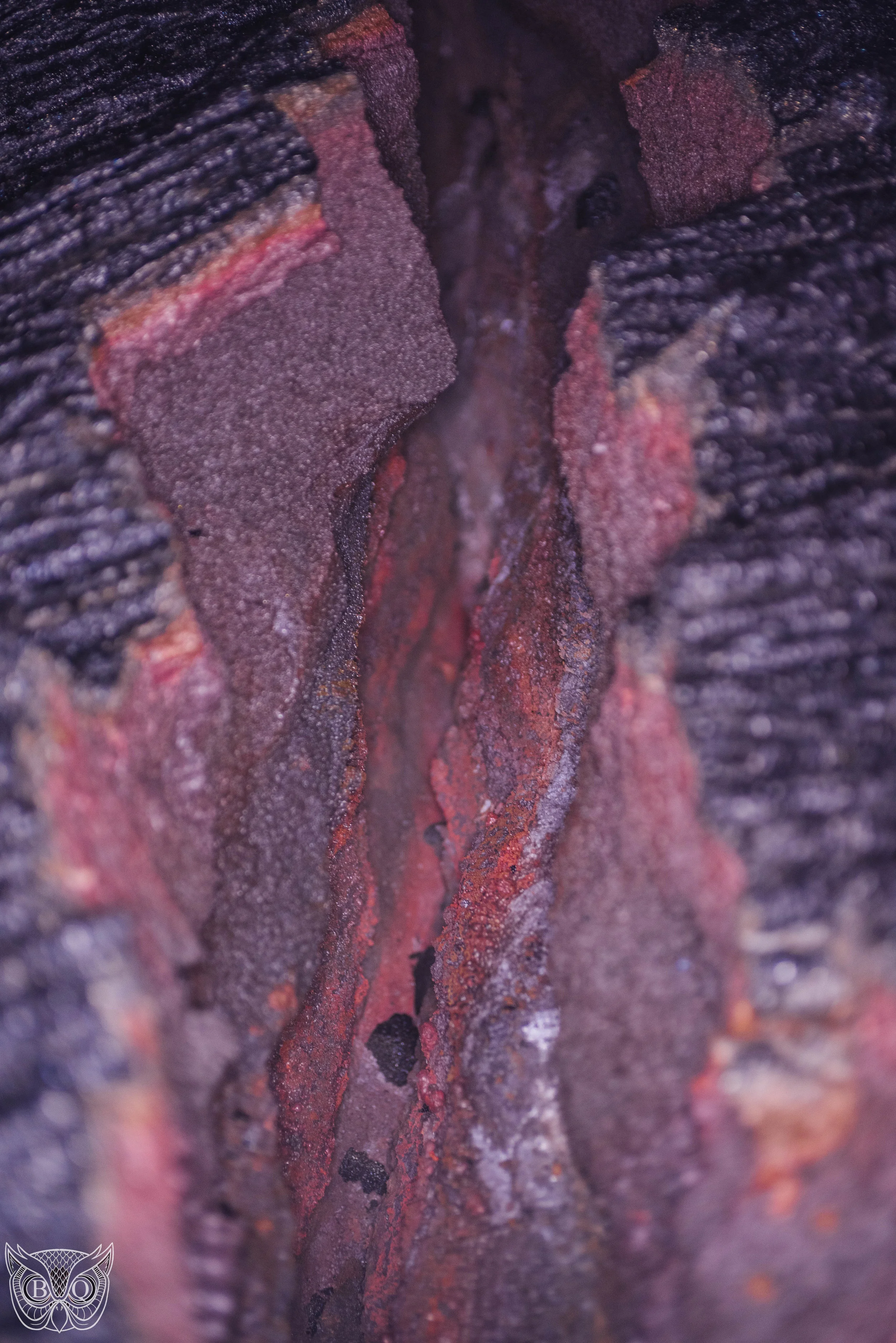 DSC_2479.jpg