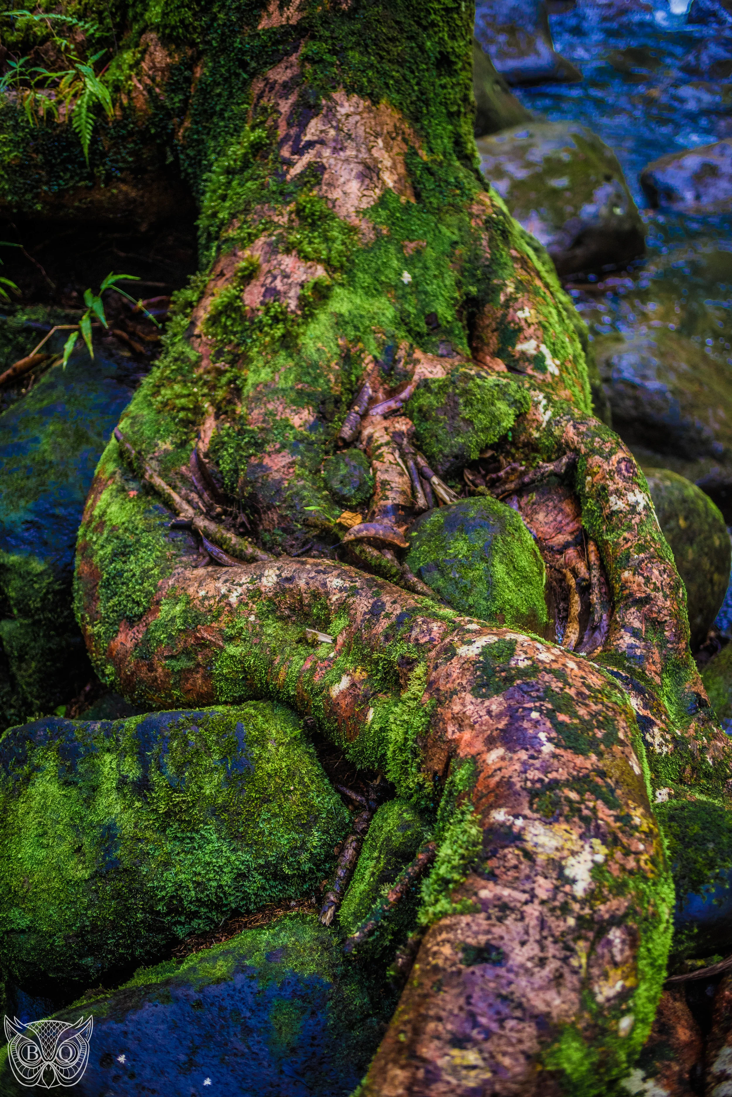 DSC_3114.jpg
