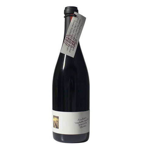 Shiraz+2015.jpg