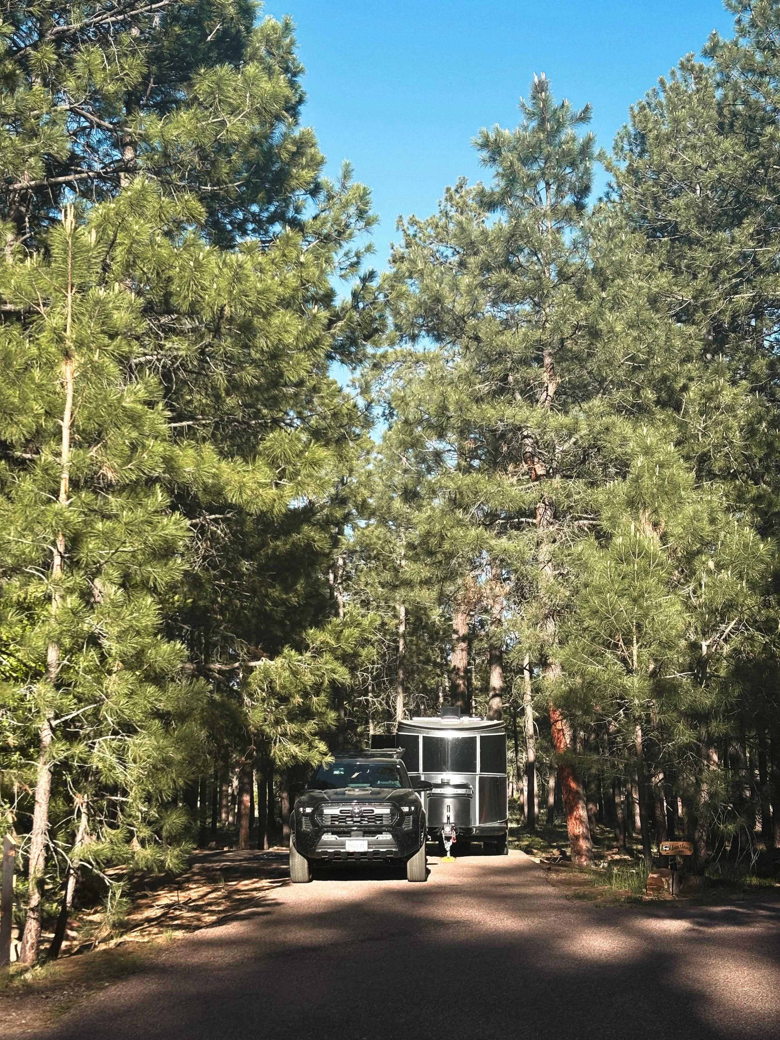 Spending a few days camping, hiking, and kayaking in the Apache-Sitegreaves National Forest was a little extra special. 

This is the forest that I grew up exploring. I learned to see the beauty of nature here and respect the fragility of our landsca