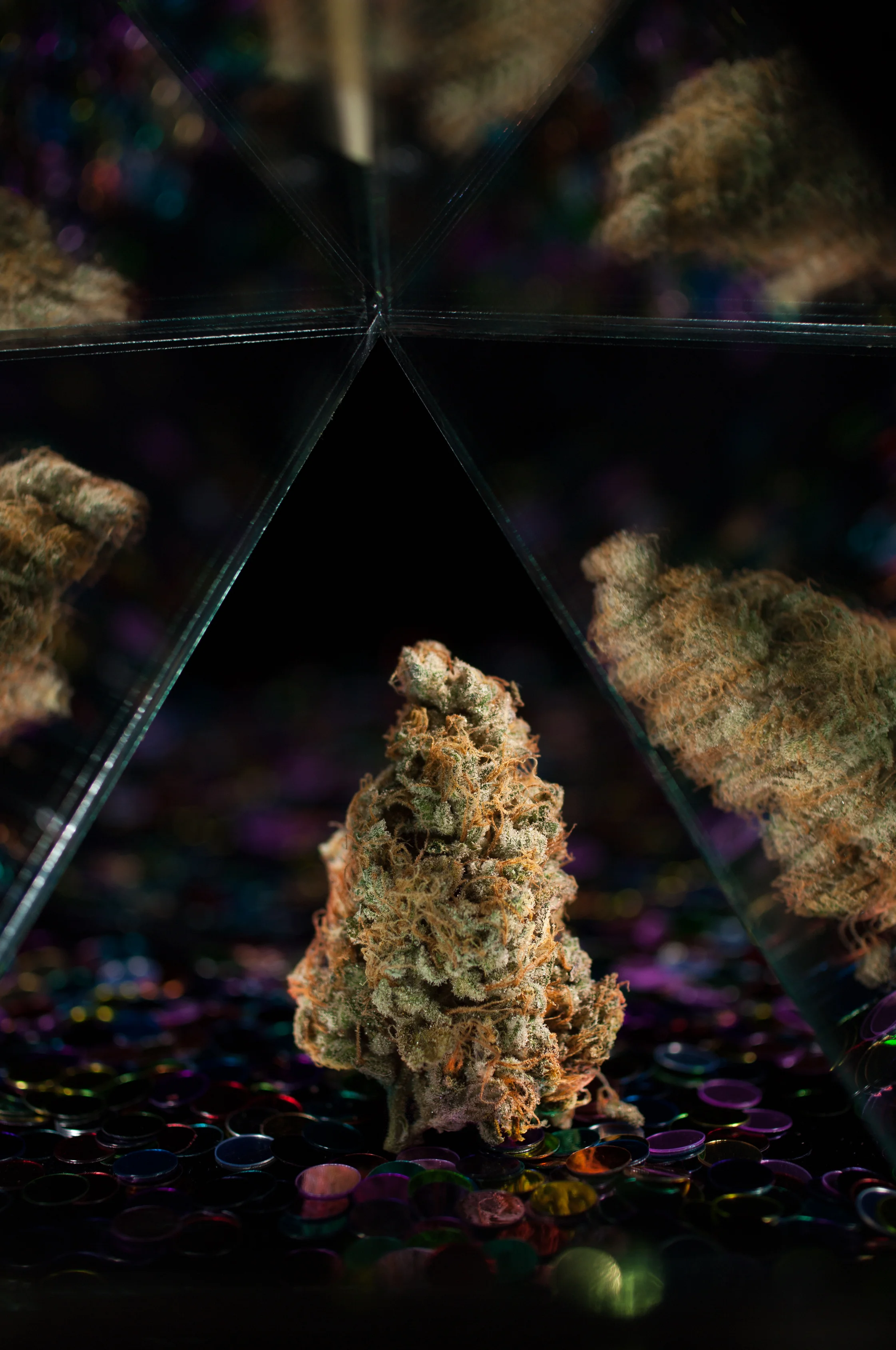 LSD-4031.jpg