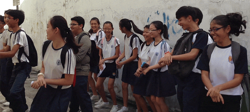 Lossy plus minus frames.gif