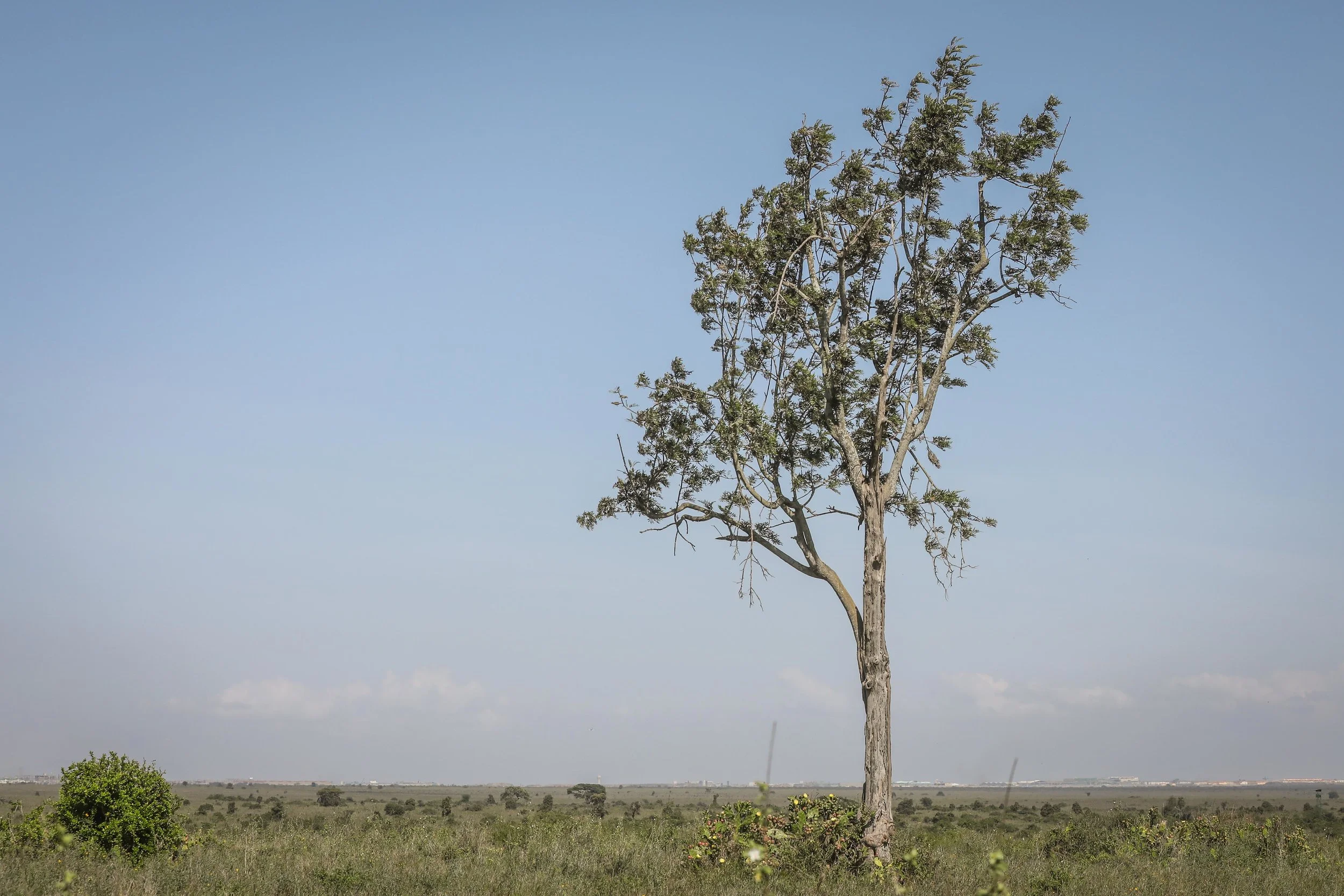  Nairobi, Kenya 