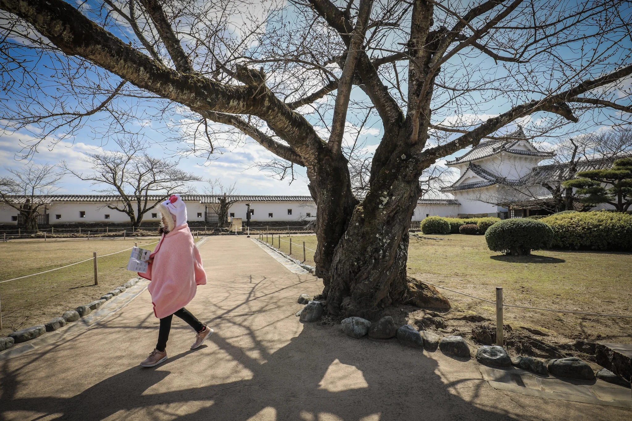 Himeji Castle, Japan 