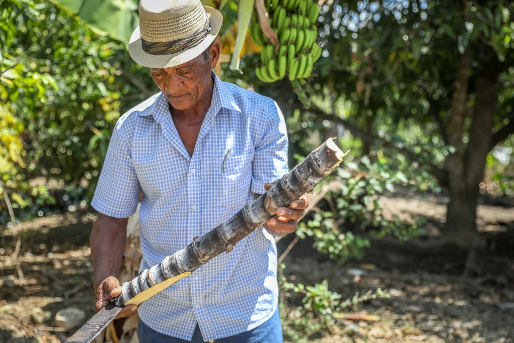  Dominican Republic  
