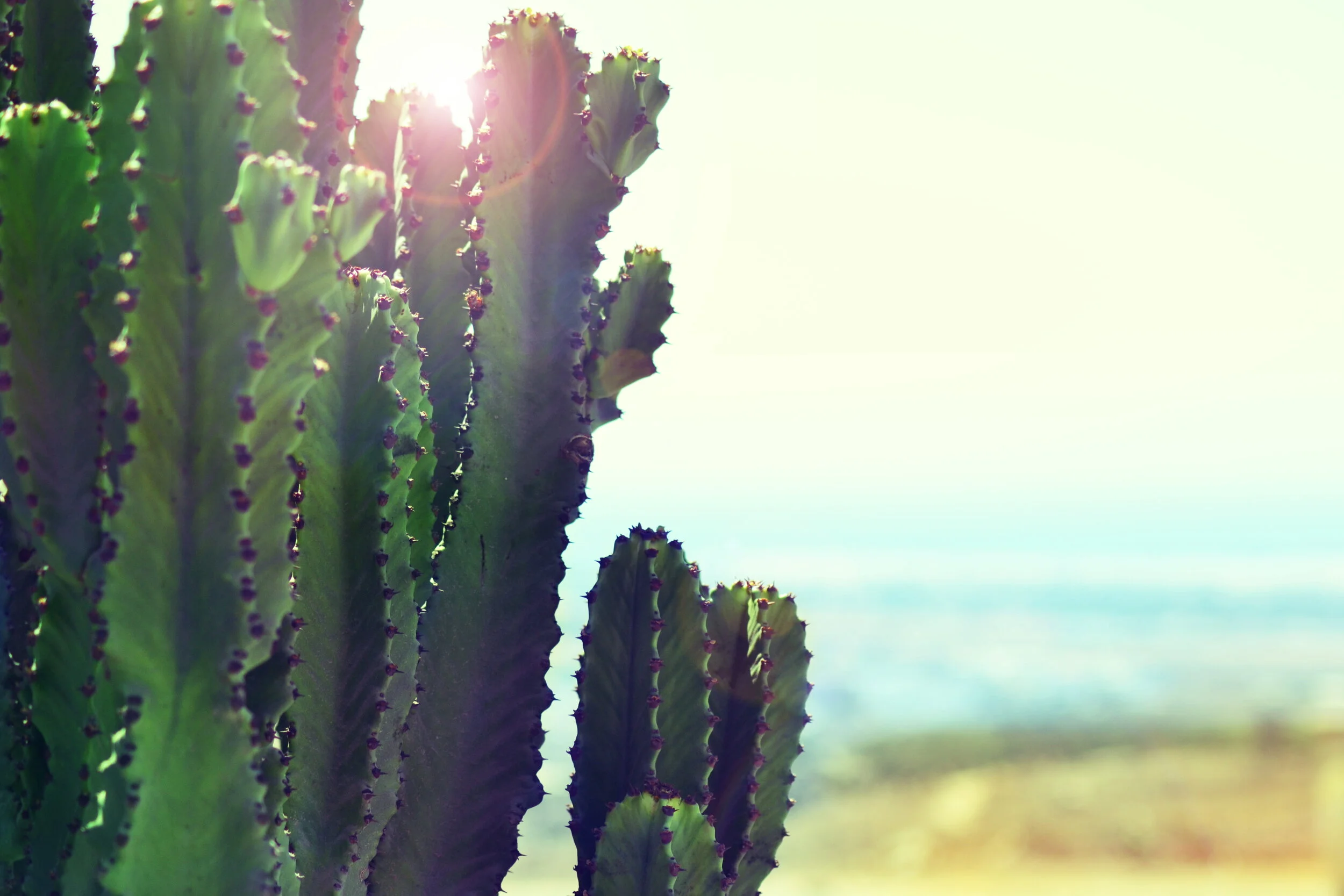 Understanding & Healing Bias