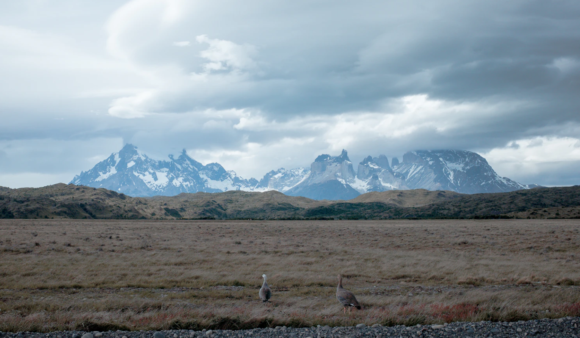 Deep Ecology/Tompkins Conservation