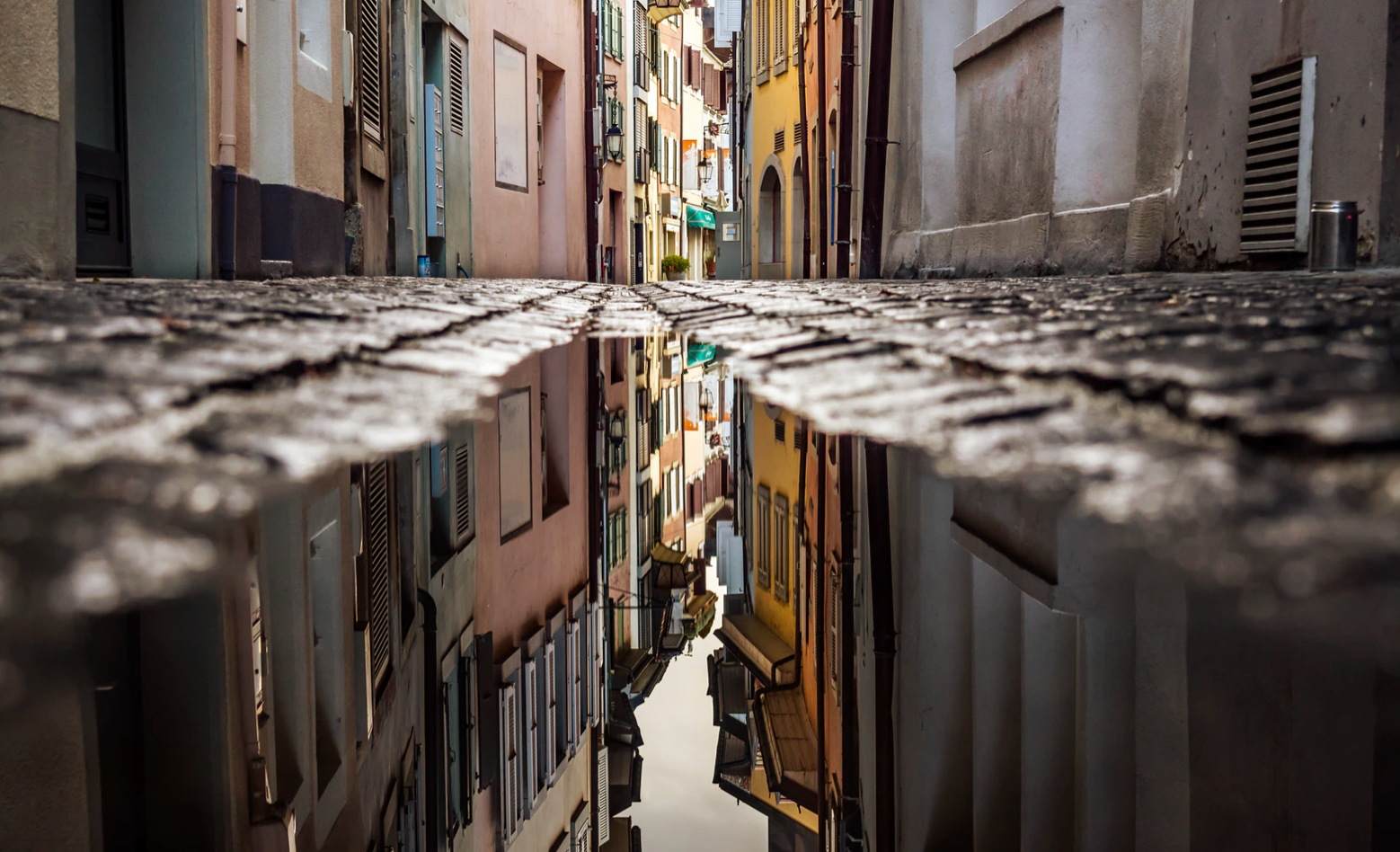 Another Angle by Member Peter Fenichell