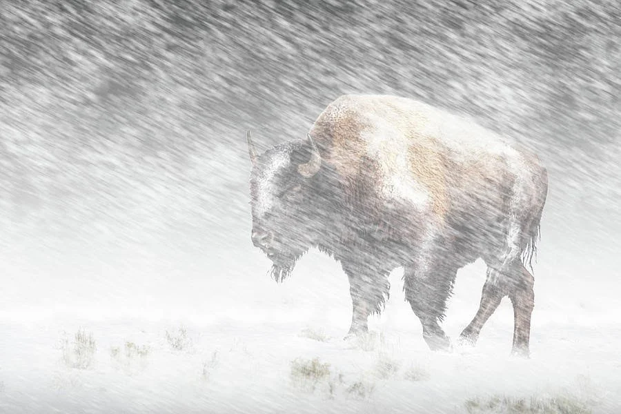 The Upside of Downsides