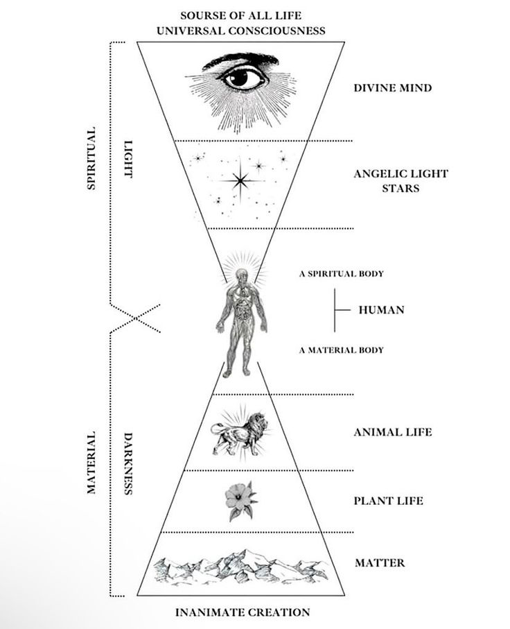 The Way of the Evolved Woman