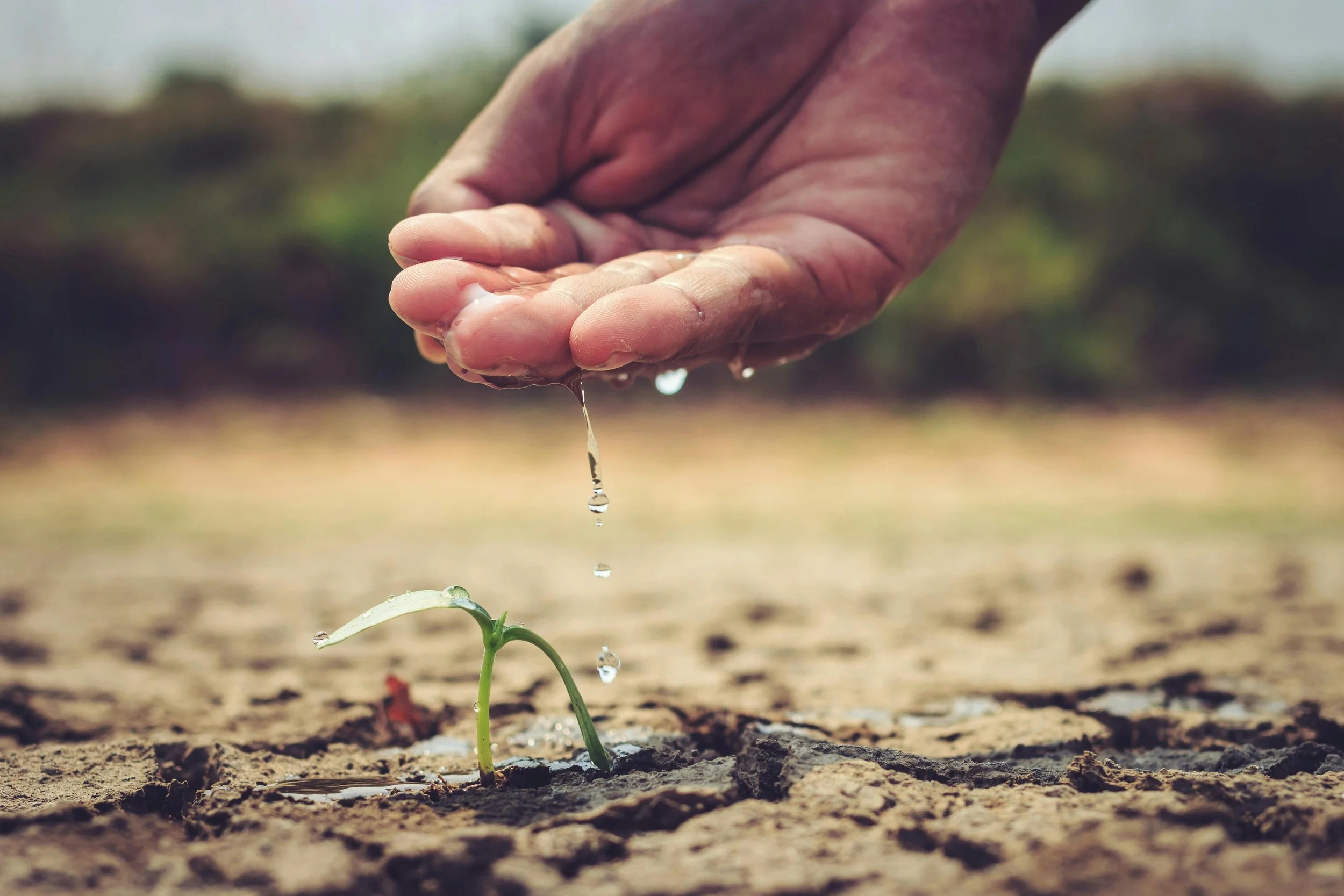 The Colorado River Crisis and the Battle for the American West