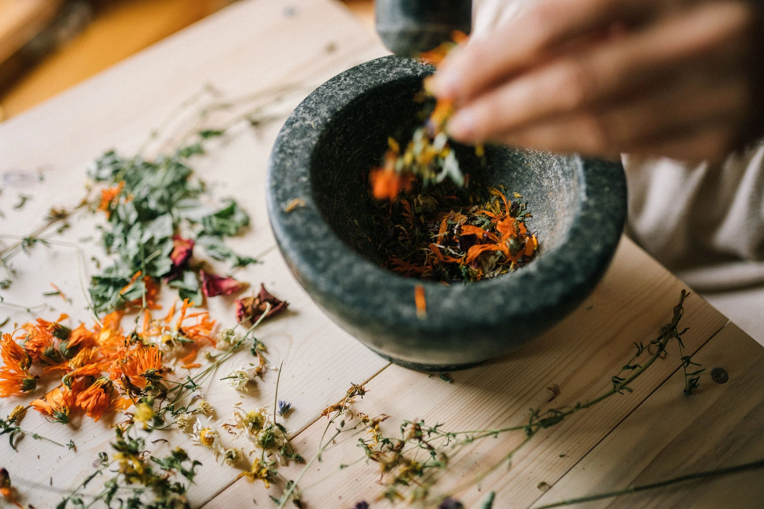 Plant Medicine and Psilocybin