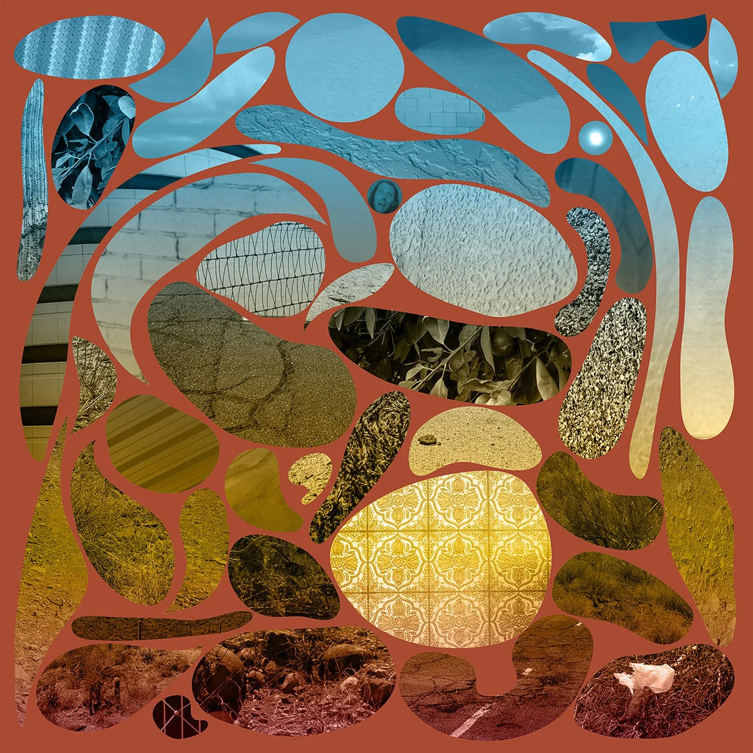 Vol. 120 - Phoenix by Pedro The Lion