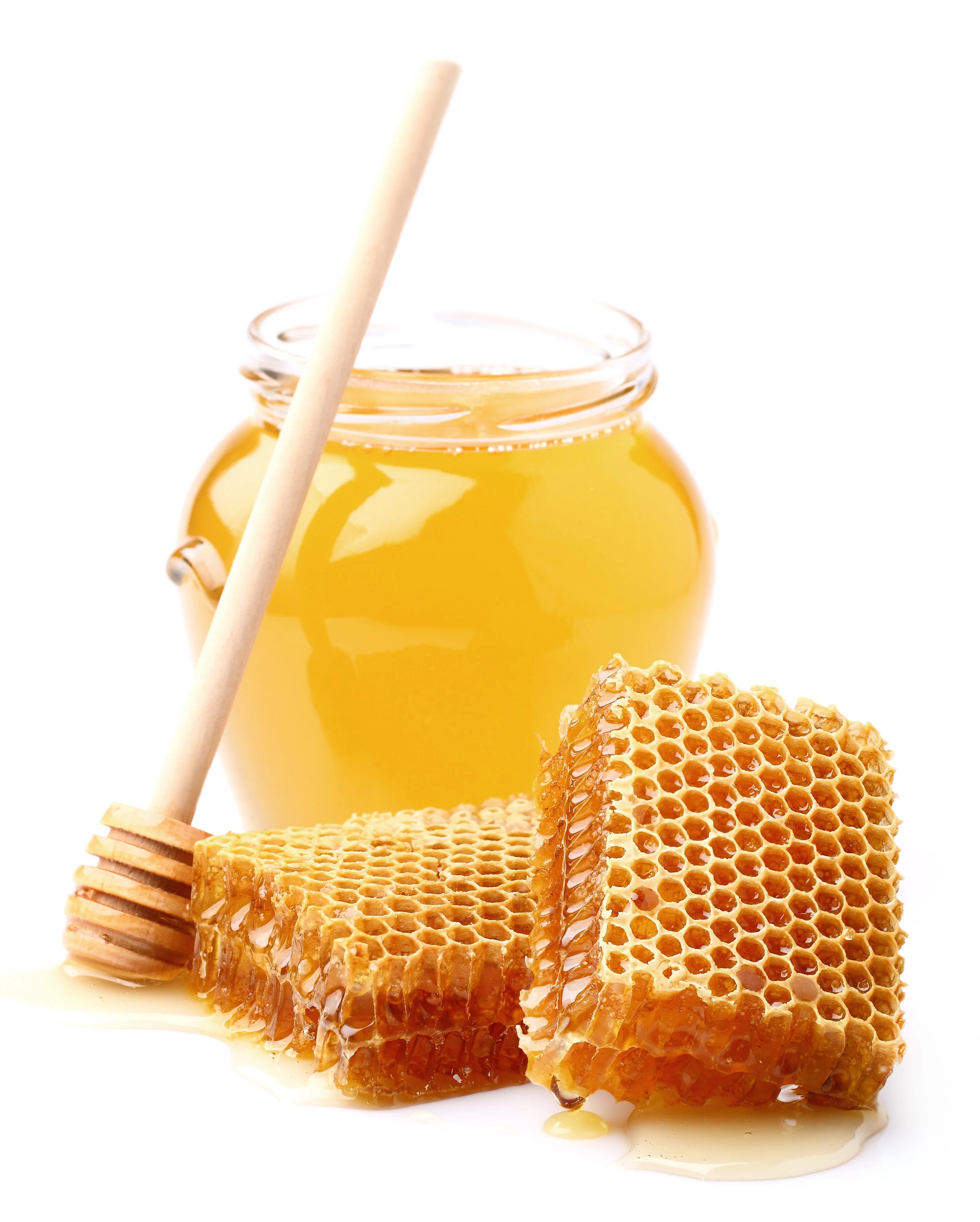 AdobeStock_62406766.jpeg