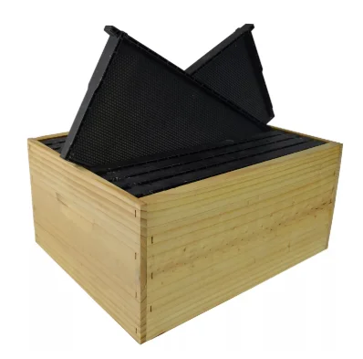 box and frames.jpg