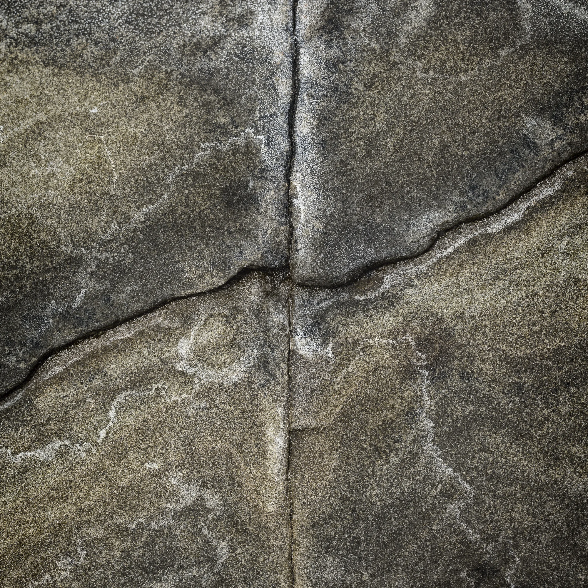 Fine art-47.jpg